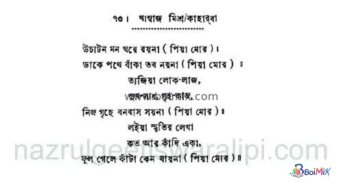 Sunirbachita Nazrul Geeti - Swaralipi - Kazi Nazrul Islam | BoiMix