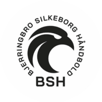 Bjerringbro/Silkeborg