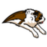 Siena Saints