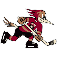 Tucson Roadrunners