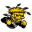 Wichita State