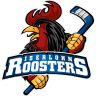 Iserlohn Roosters