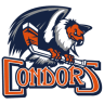 Bakersfield Condors
