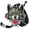 Chicago Wolves