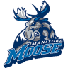 Manitoba Moose