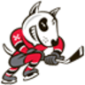 Niagara IceDogs