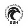 Bjerringbro/Silkeborg