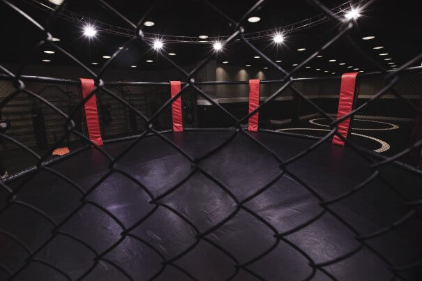 McGregor kohtaa Poirierin