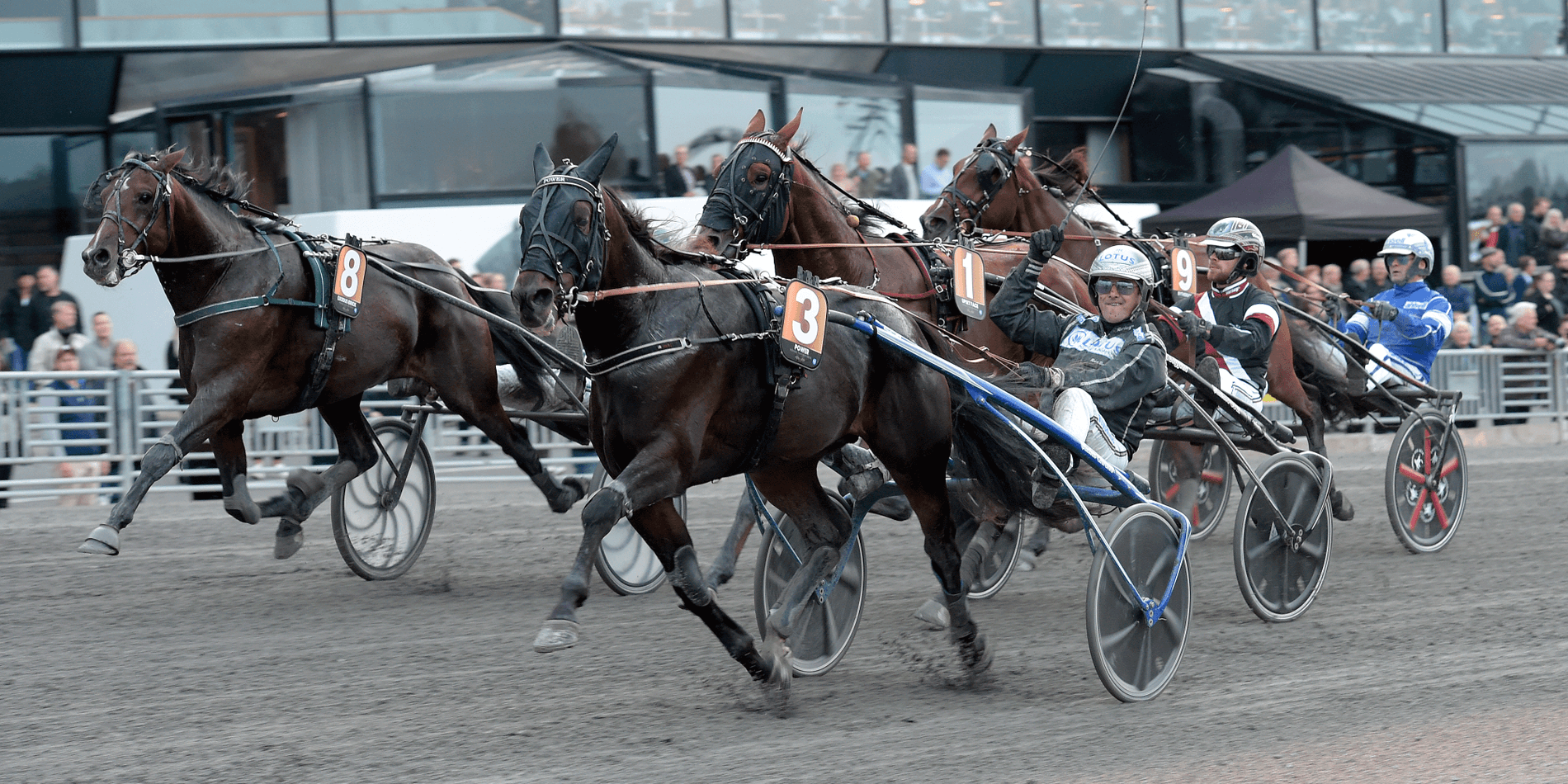 Breeders Crown - Power är en kraftfull favorit!