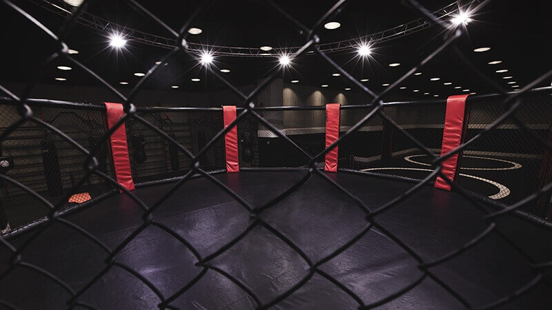 UFC 264: Dustin Poirier vs Conor McGregor III