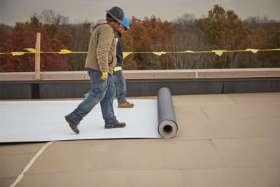 Roofers installing a roll of TPO roofing membrane.