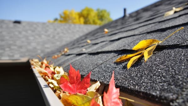 roofing panels with leaves in the gutter