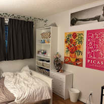 The Roommates's room