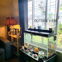 Veronica Choudhary's room