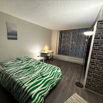 Melike Buyurgan's room