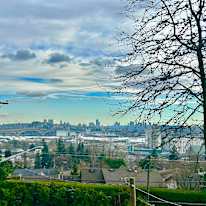 Shima Farokhi's room