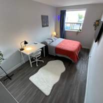 Harrington Toronto's room