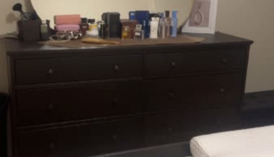 marjan shaker's room