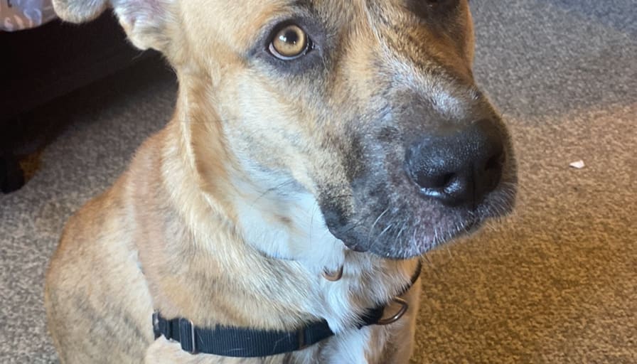 Kattrina wheelihan's room