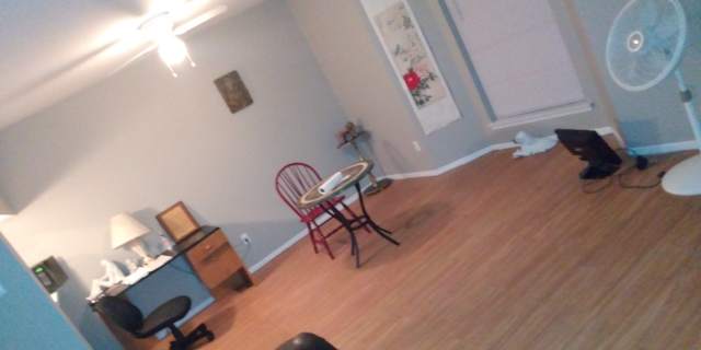 Dallas Tx Rooms For Rent Roomies Com
