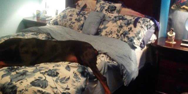 Tamarac Fl Rooms For Rent Roomies Com