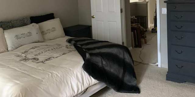 Couples Glen Kissimmee Fl Roommates Roomies Com