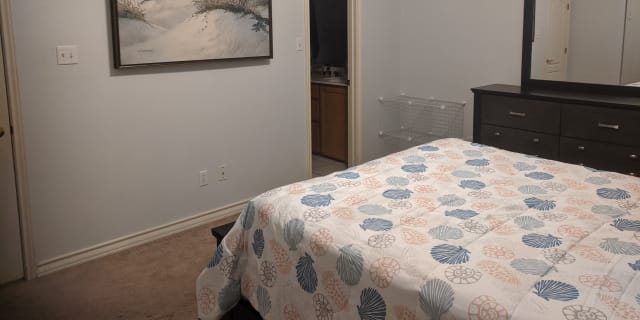 Flour Bluff Corpus Christi Tx Rooms For Rent Roomies Com