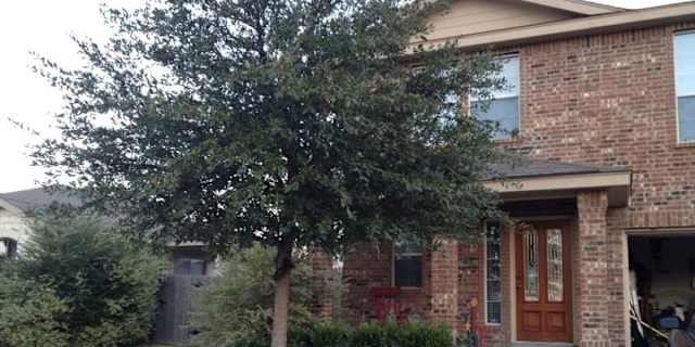 New Braunfels TX Dogs allowed rooms for rent | Roomies.com