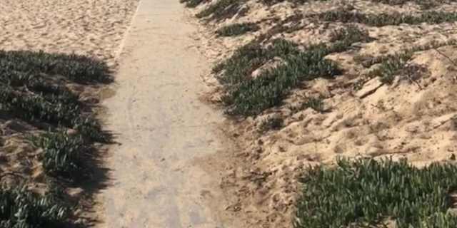 Costa Mesa CA Rooms for Rent | Roomies.com