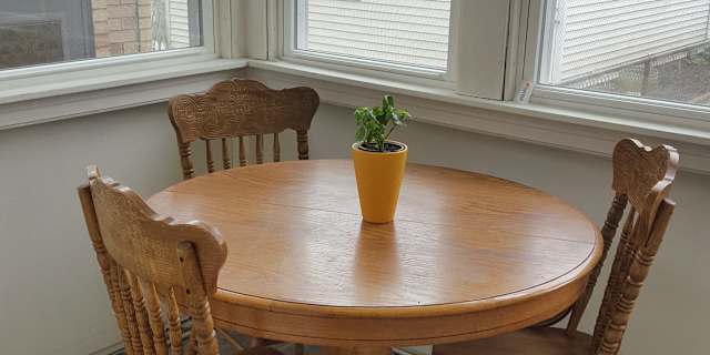 Berwyn Il Rooms For Rent Roomies Com