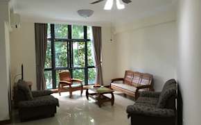 east meadow ny rooms for rent roomies com