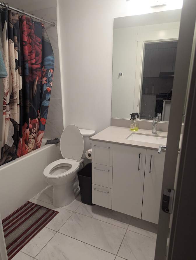 Carla Guifarro's room