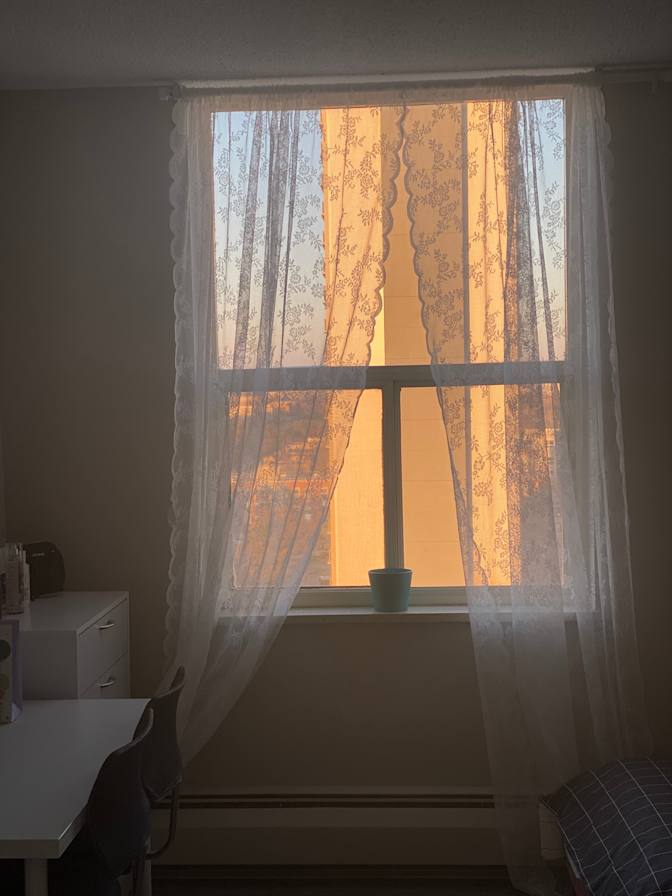 Tiana Tahriri's room