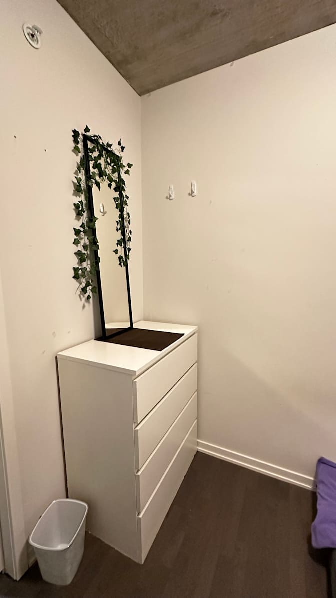 Spinder Raina's room