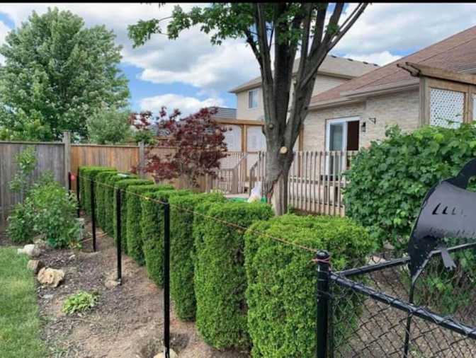 Santhi Varanasi's room