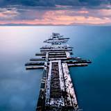 Lisa Ann Conflitti-Raposo