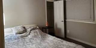 Takoma Park Md Rooms For Rent Roomies Com