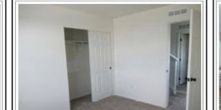 Brighton Co Rooms For Rent Roomies Com