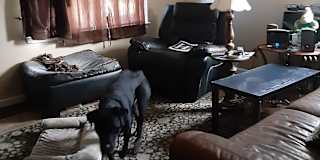 New Baltimore Mi Roommates Roomies Com