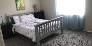 New Port Richey Fl Rooms For Rent Roomies Com