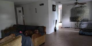 New Port Richey Fl Rooms For Rent Roomies Com