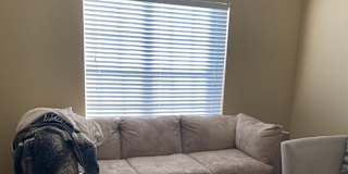 College Station Tx Rooms For Rent Roomies Com