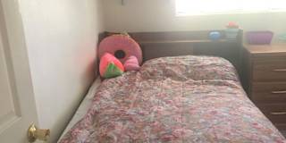 Provo Ut Rooms For Rent Roomies Com