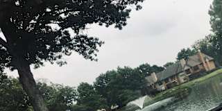 Germantown Tn Rooms For Rent Roomies Com