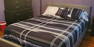 New Haven Ct Rooms For Rent Roomies Com