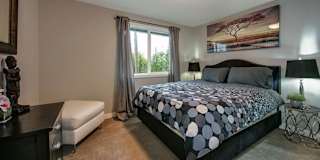 Everett Wa Rooms For Rent Roomies Com