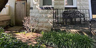 Fan Richmond Va Rooms For Rent Roomies Com