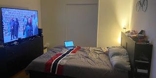 Hillside Queens New York Ny Rooms For Rent Roomies Com