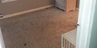 Pomona Nj Rooms For Rent Roomies Com