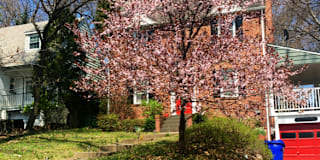 Gaithersburg Md Rooms For Rent Roomies Com